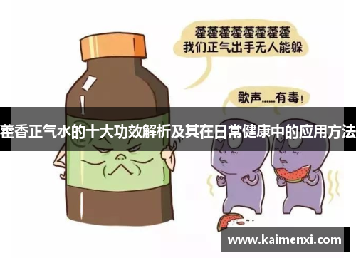 藿香正气水的十大功效解析及其在日常健康中的应用方法